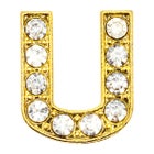 DRMZ U -koriste, Kulta