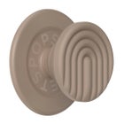 PopSockets PopGrip MagSafe -pidike, magneettikiinnitys, latte curves